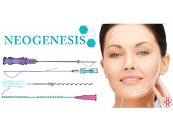 мезонити neogenesis